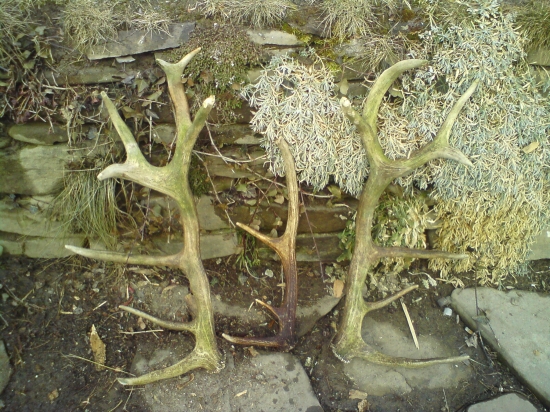 Zhody najdené toho roku, škoda že neboli najdené skôr :)