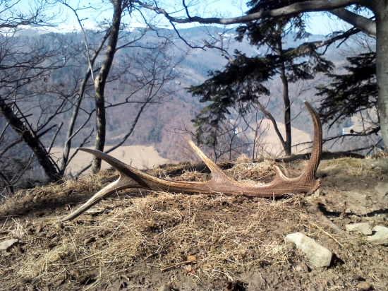 Môj prvý toho roku a konečne prvý nový po dvoch rokoch :)