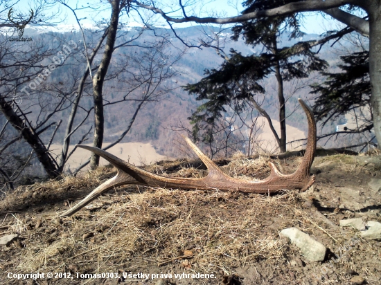 Môj prvý toho roku a konečne prvý nový po dvoch rokoch :)
