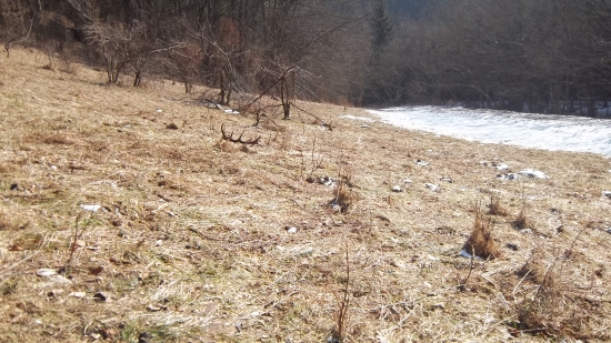 uz som myslel ze tohorocny..a prd