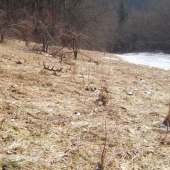 uz som myslel ze tohorocny..a prd