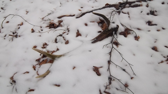 možno ležal aj dva roky