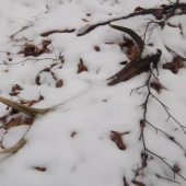 možno ležal aj dva roky