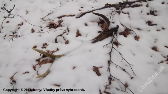 možno ležal aj dva roky