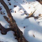 a dalši minulorocný