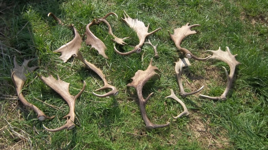 dnešná doobedňajšia prechádzka :)