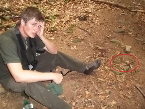 môj prvý jelení špicer