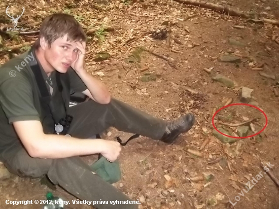 môj prvý jelení špicer