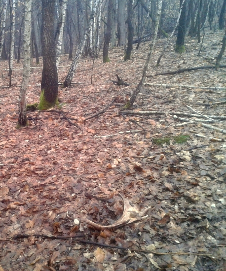 prva tohtorocna lopata