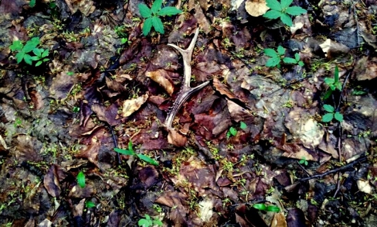 tak este jeden teda :D