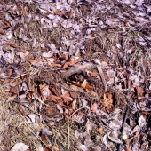 aj take treba pozbierat..