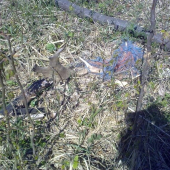 dobre oznaceny :D inak by som ho ani nezbadal..