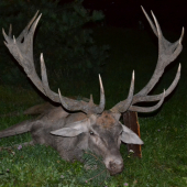 Konečne jeleň IV. VT v našom združení