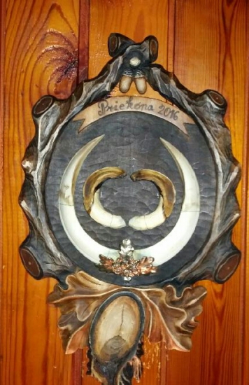 Trofej kanca z našho združenia. Lovec Jan Luža