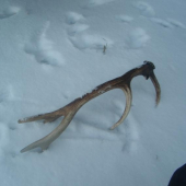 Spomienka na rok 2009