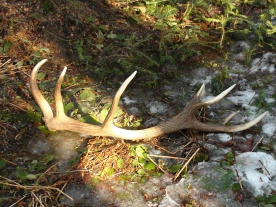 tak si to na mna POCKAL