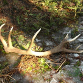 tak si to na mna POCKAL