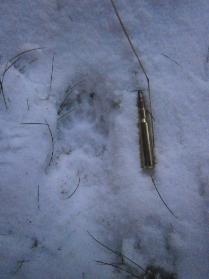 Šel na čerstvý vzduch :-)