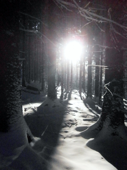 Ranní courání po revíru