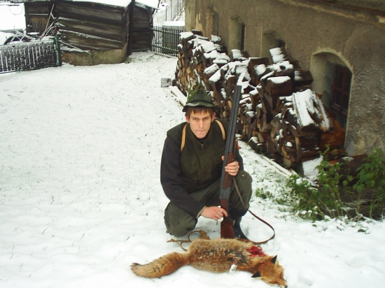 Moje první liška-fena 9kg