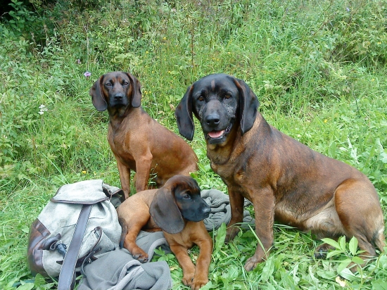 Moje pomocnice a pomocník