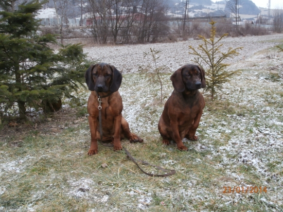 Cona Mútňanská dolina a Cira Z Oravského Podzámku
