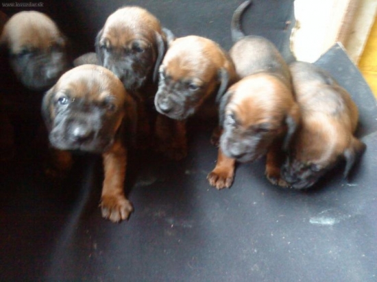 spod oravskeho hradu