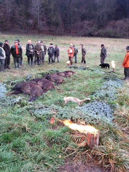 Spoločná polovačka