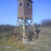 Nový posed . Kazatelnicový .