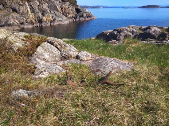 Pobřežní čtrnácterák první pohled