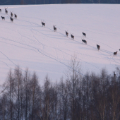 dnes pri zapadu slunce