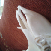 srnec s grandlami detail
