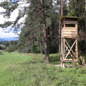 Nový miesto zničeného