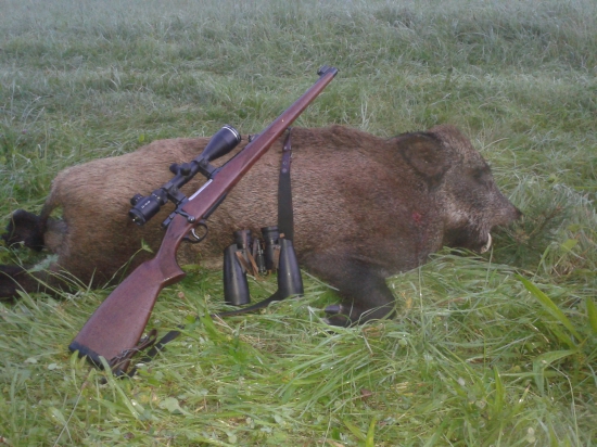 Ukončené trápenie