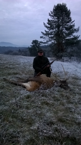 Krásne mrazivé ráno