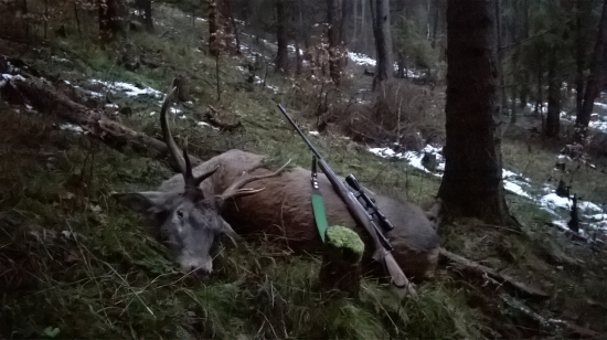 Ďalšie krásne ráano