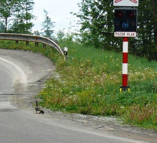 vzorná matka vychováva