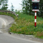 vzorná matka vychováva