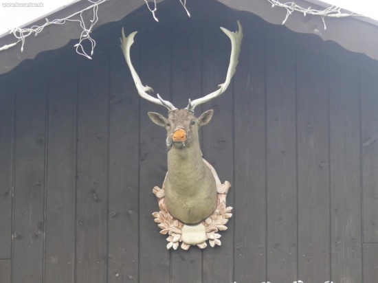 treba mi prepúdrovať nos