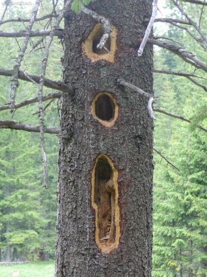 aj my budujeme paneláky