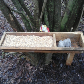 dúfam že sa osvedčí