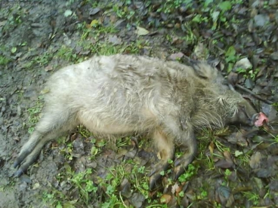 Menšie ale aj to poteší