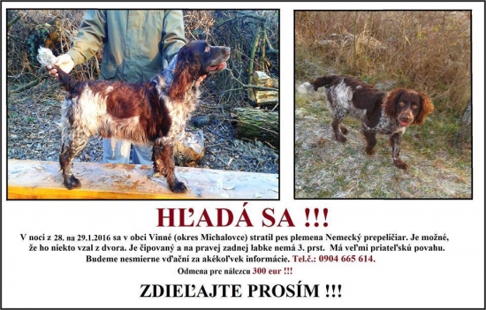Hľadá sa