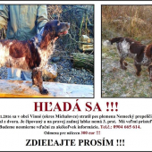 Hľadá sa