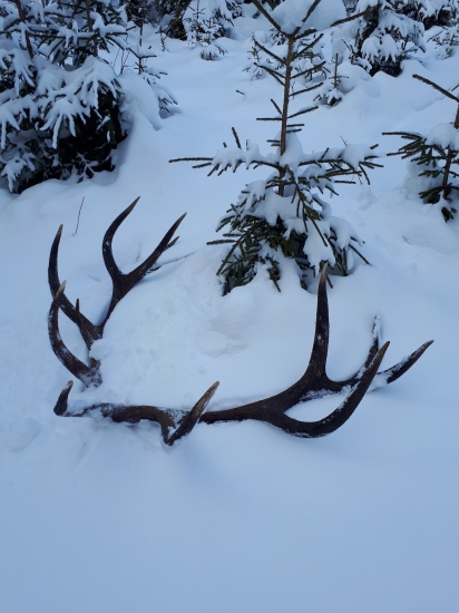 nepr.14.torák -8,30 kg