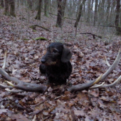 nejako začať treba