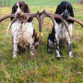 už trénujeme na novú sezónu