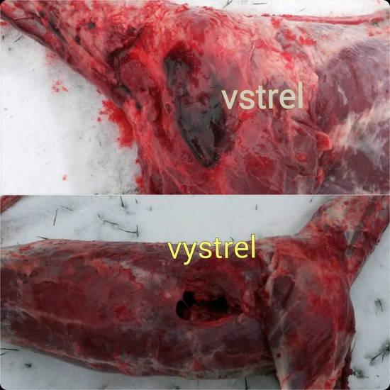sako superhammerhead  11,7 g 308 win
