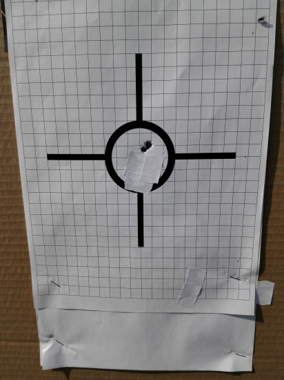 22-250 rem  a 50 gr Sako gammehead vs 60 gr SP  Hornady custom