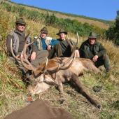 Ruja 2008